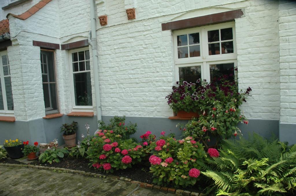 B&B Le Maquis De Haan Exterior photo
